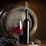 Vertedero antigoteo para botella acrílico Vinturi