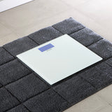 Bascula digital blanco 30cm Brabantia