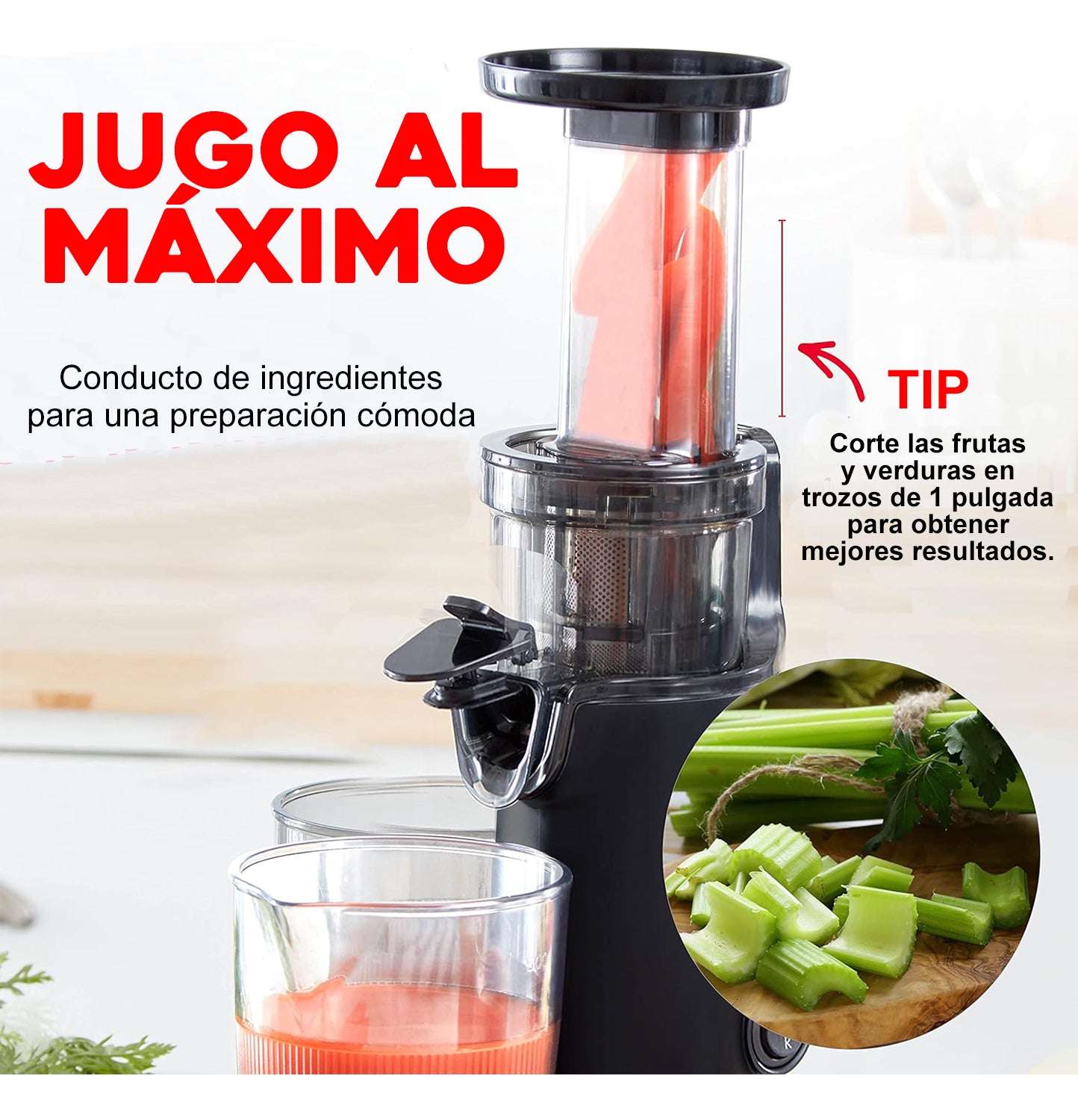 Slow Juicer Recetas Para Extractor De Jugos Slow Juicer Extractor